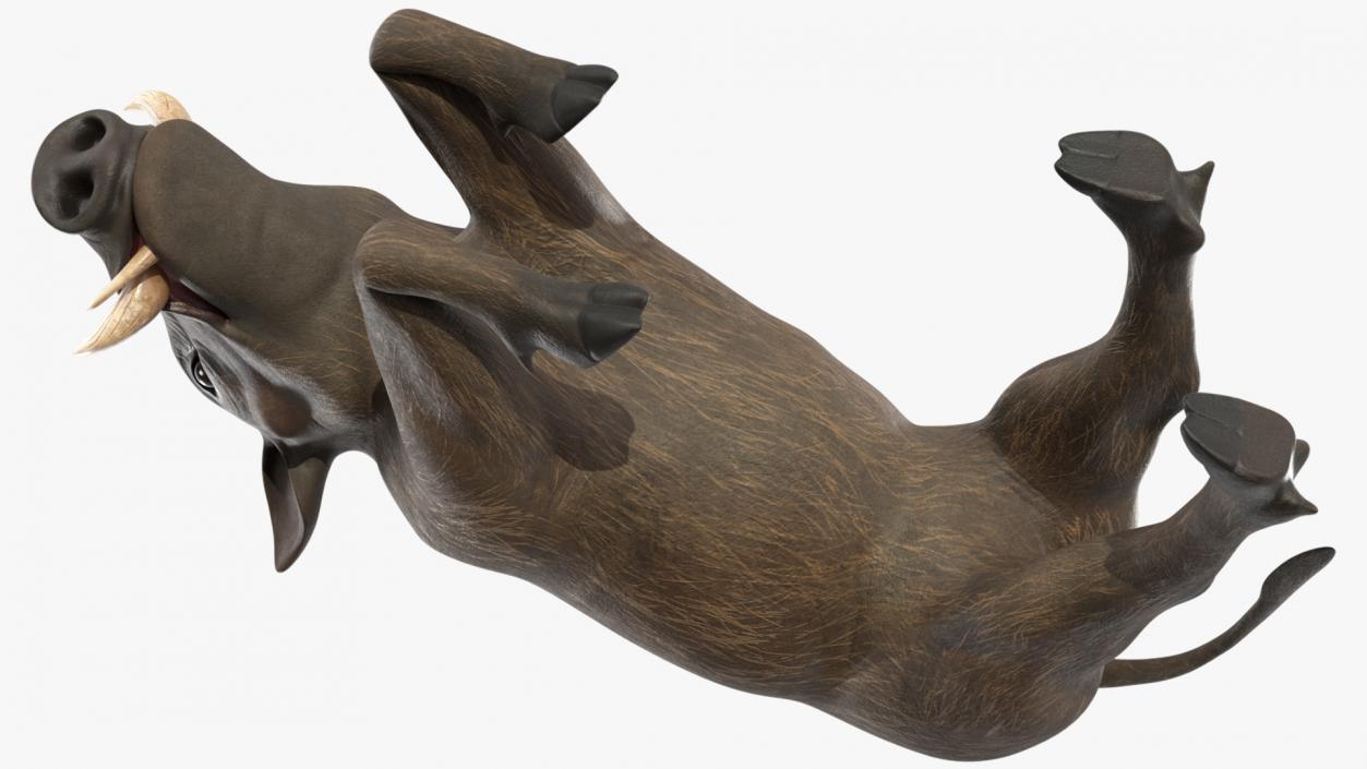 3D African Wild Boar Kneeling Pose 2 model