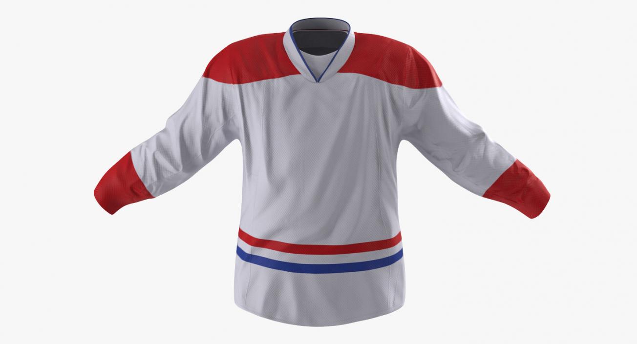 Hockey 3D Models Collection 2 3D model