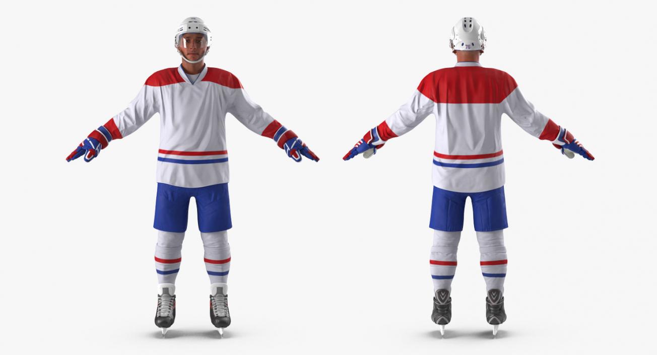 Hockey 3D Models Collection 2 3D model