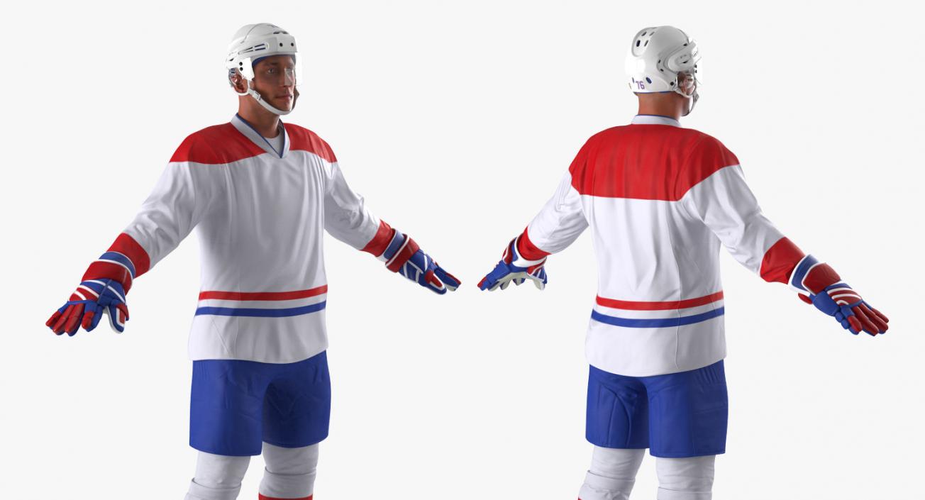 Hockey 3D Models Collection 2 3D model