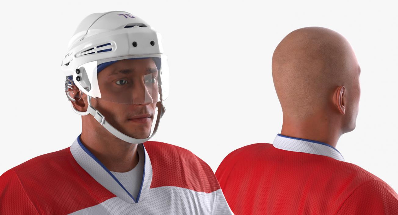 Hockey 3D Models Collection 2 3D model