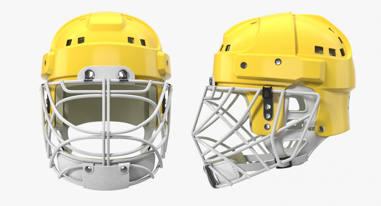 Hockey 3D Models Collection 2 3D model