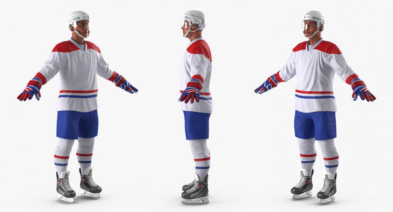 Hockey 3D Models Collection 2 3D model