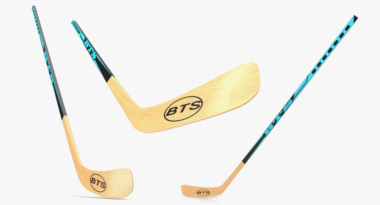 Hockey 3D Models Collection 2 3D model