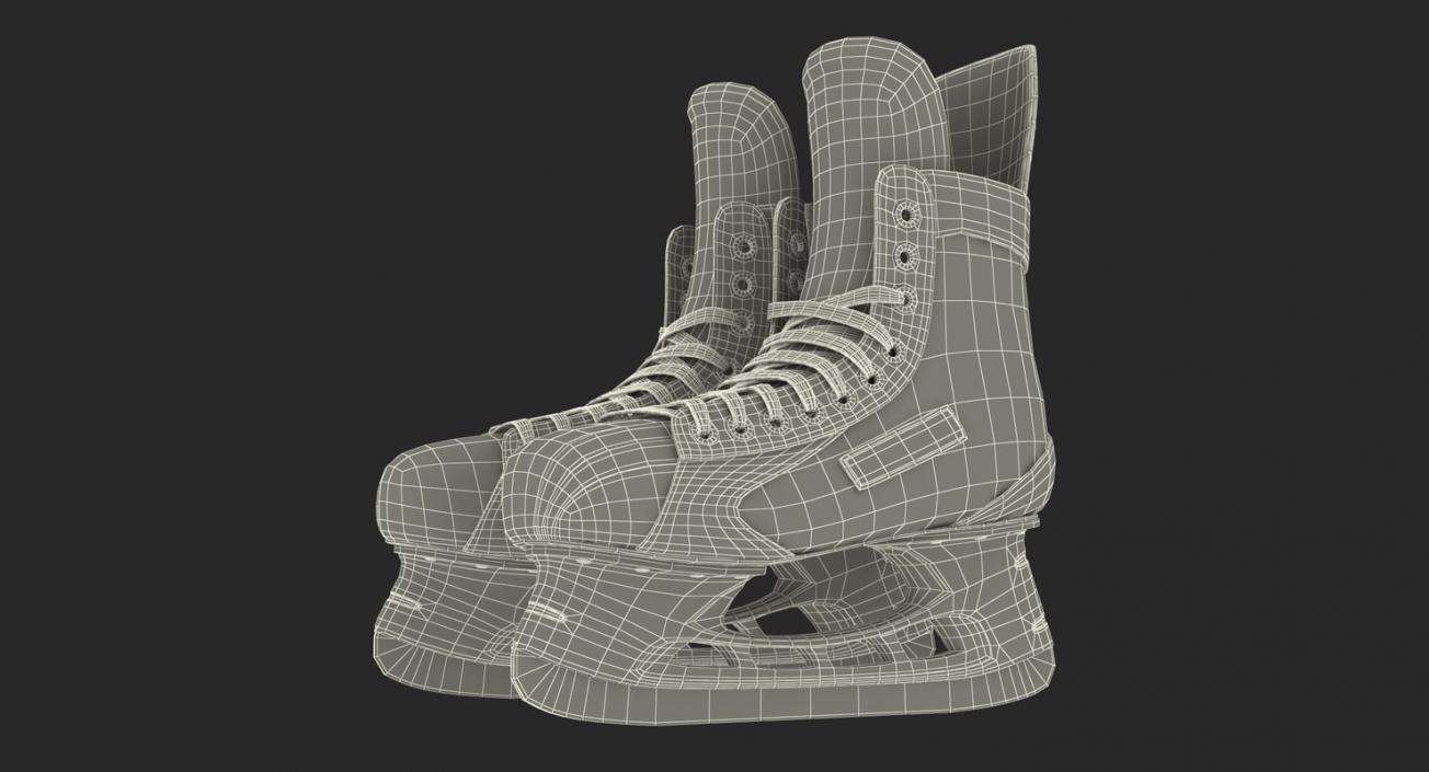 Hockey 3D Models Collection 2 3D model