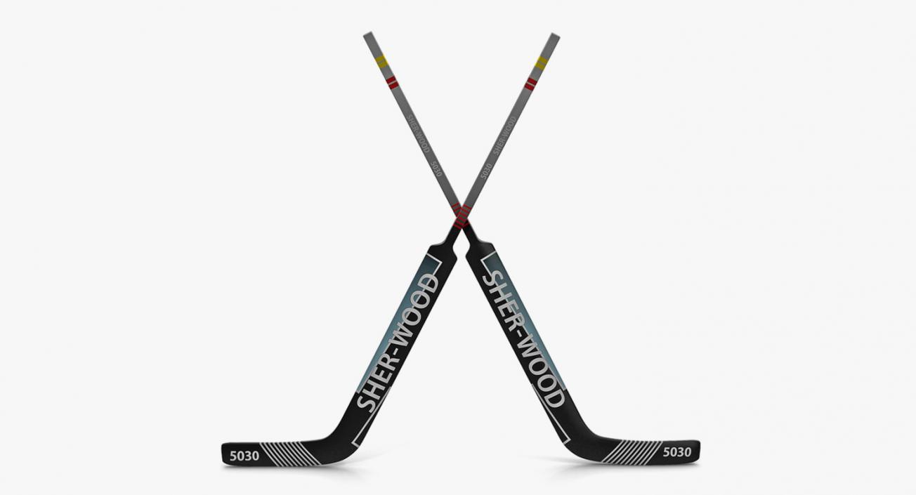 Hockey 3D Models Collection 2 3D model