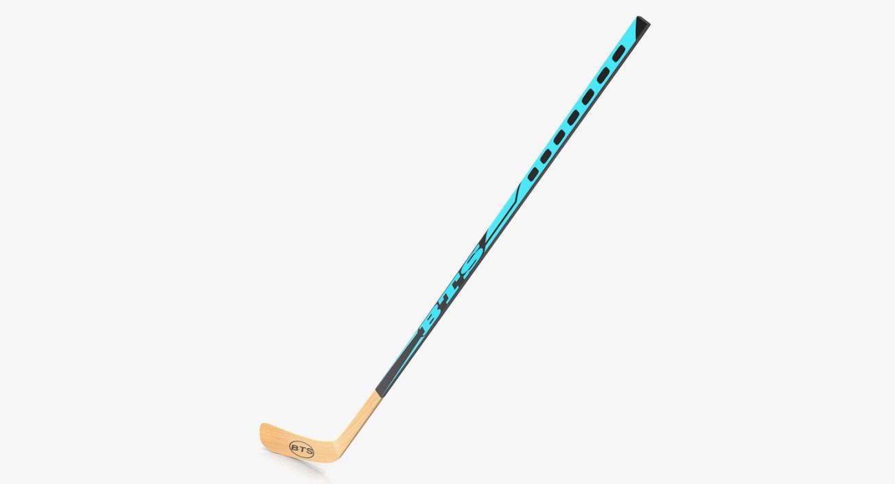 Hockey 3D Models Collection 2 3D model