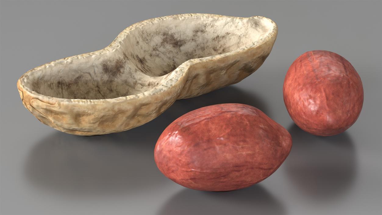 3D model Peeled Peanuts with Shell