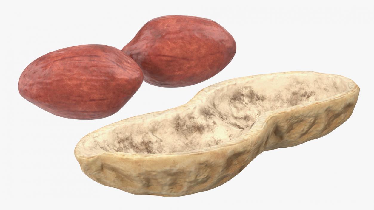 3D model Peeled Peanuts with Shell