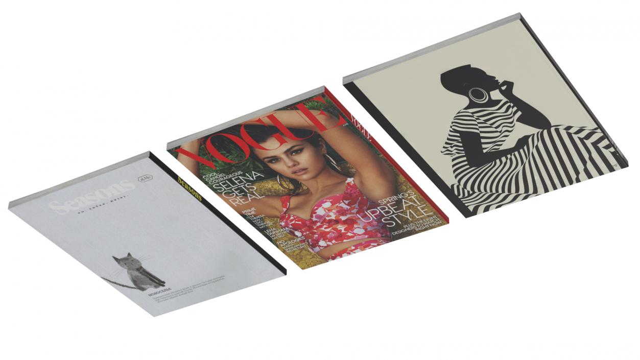 3D New Yorker Vogue and Seasons Magazines model