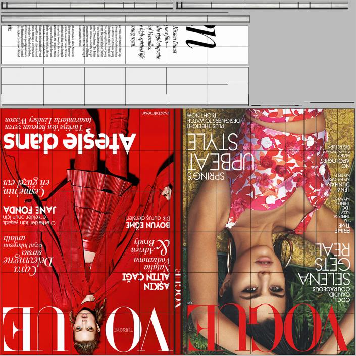 3D New Yorker Vogue and Seasons Magazines model