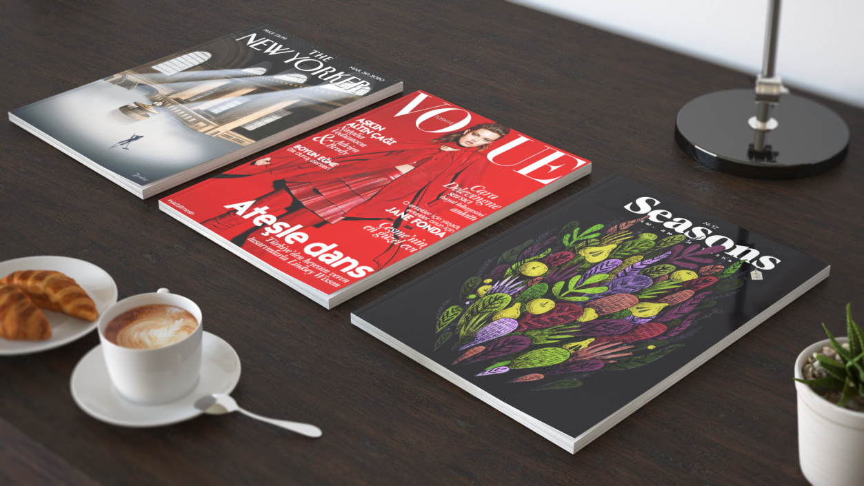 3D New Yorker Vogue and Seasons Magazines model