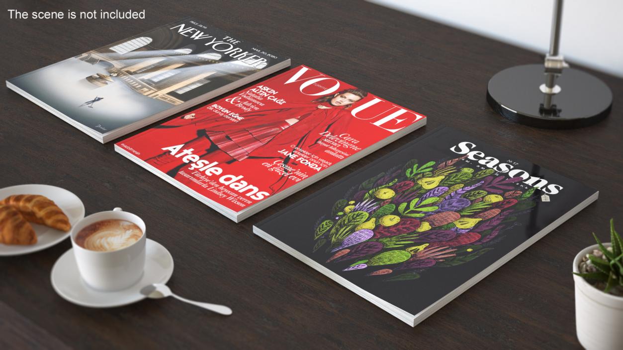 3D New Yorker Vogue and Seasons Magazines model