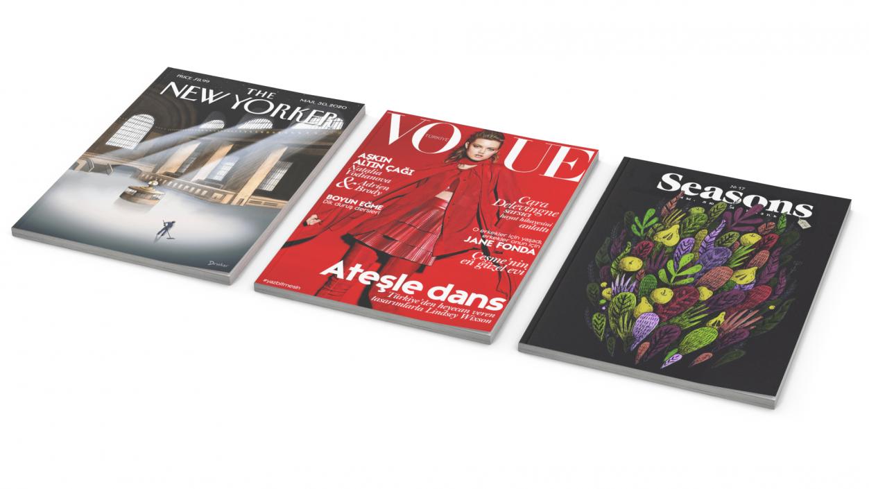 3D New Yorker Vogue and Seasons Magazines model