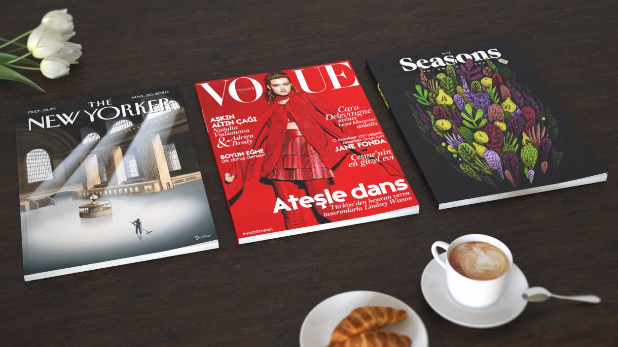 3D New Yorker Vogue and Seasons Magazines model