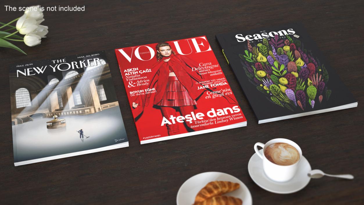 3D New Yorker Vogue and Seasons Magazines model