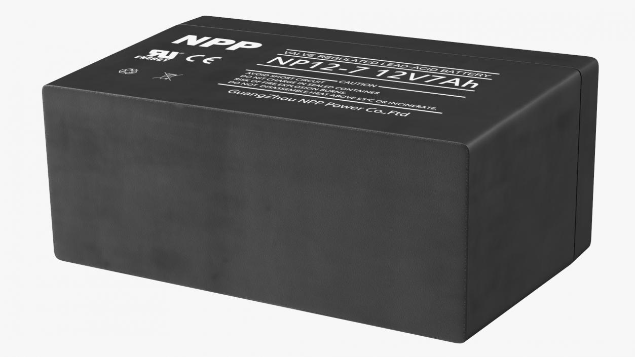 3D NPP Lead Acid Battery