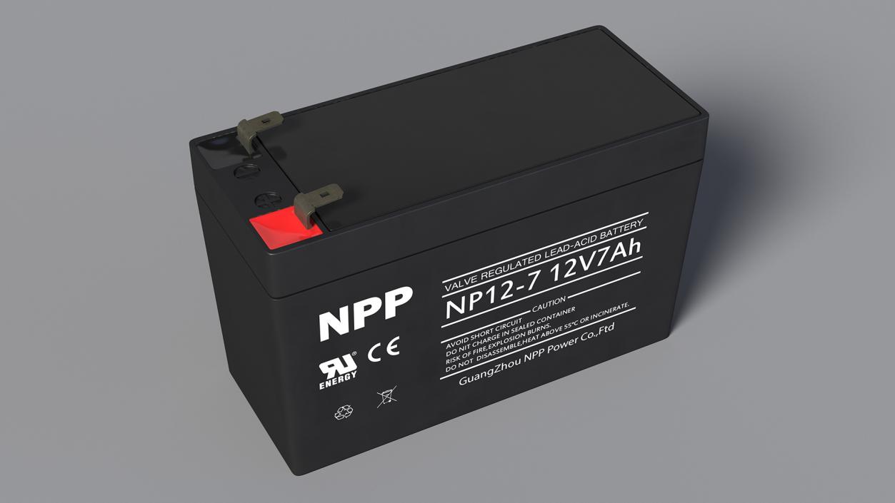 3D NPP Lead Acid Battery