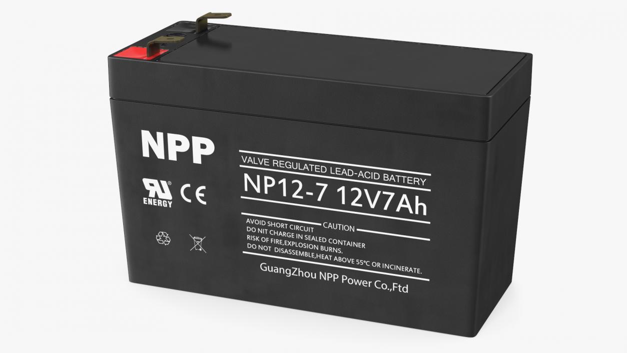 3D NPP Lead Acid Battery