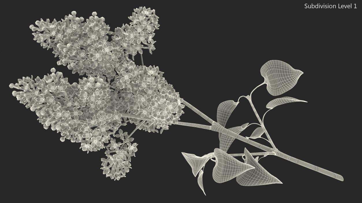 Lilac Branch 3D