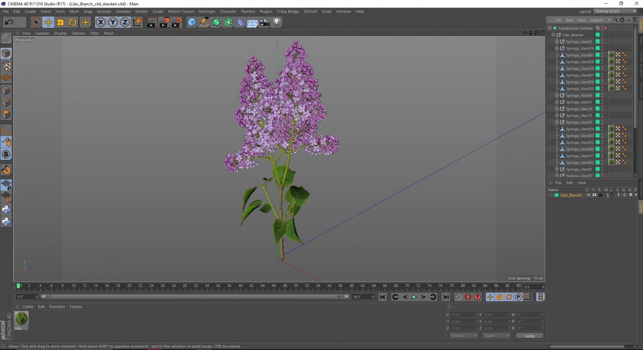 Lilac Branch 3D