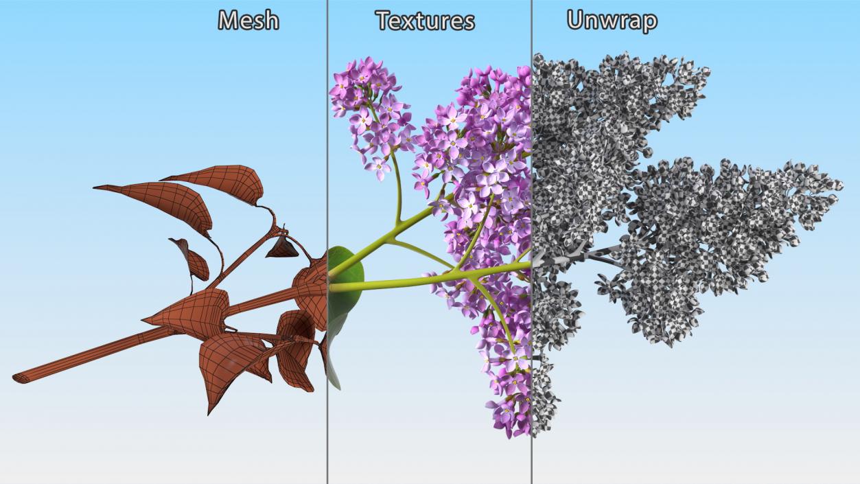 Lilac Branch 3D