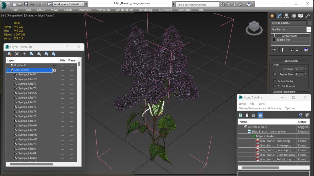 Lilac Branch 3D