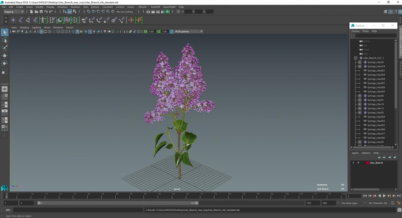 Lilac Branch 3D