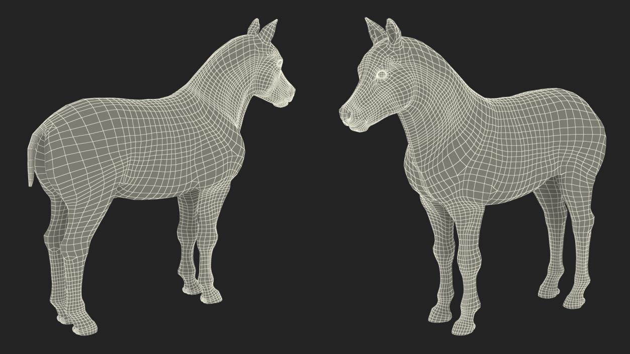 Realistic Shetland Pony Rigged for Maya 3D model