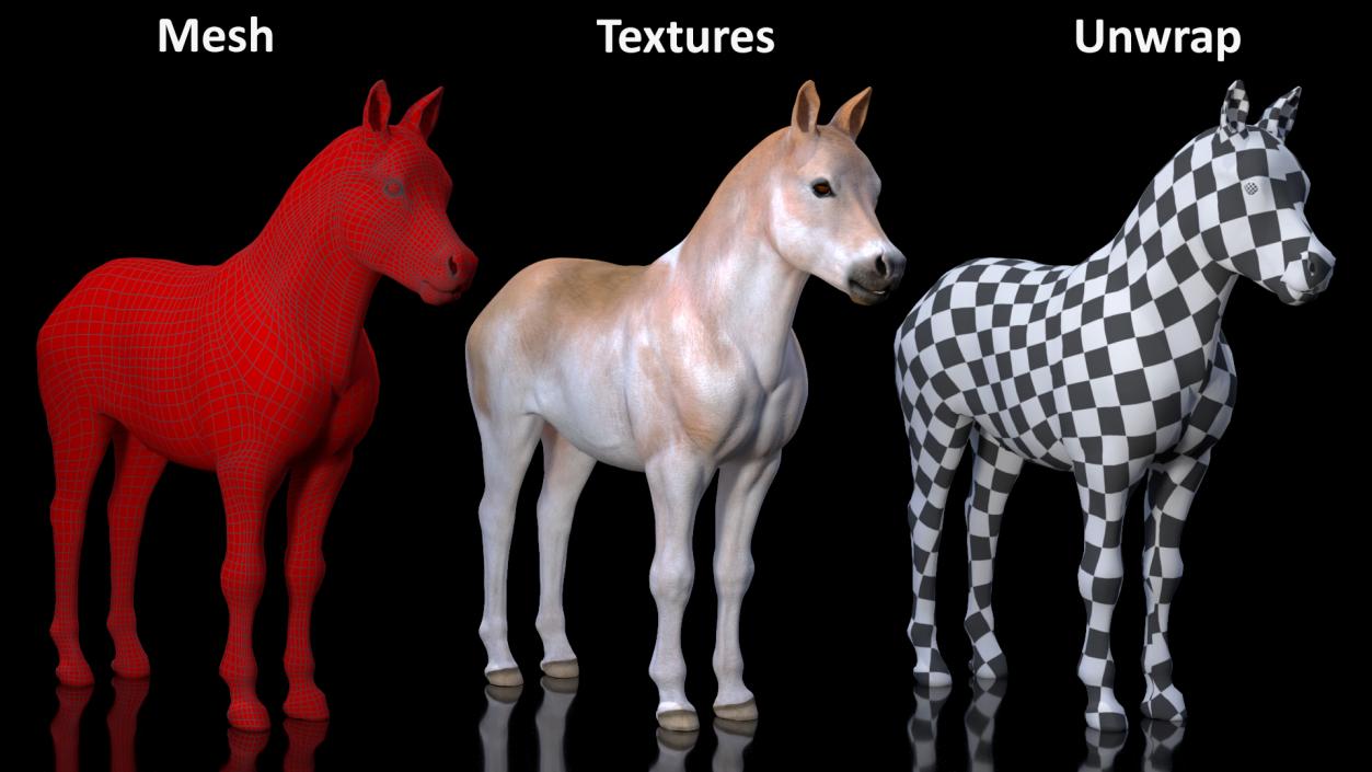 Realistic Shetland Pony Rigged for Maya 3D model