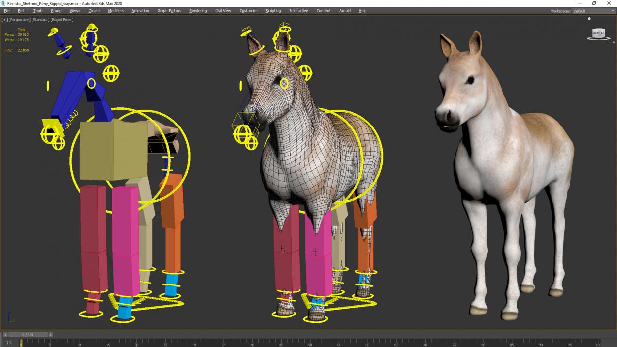 Realistic Shetland Pony Rigged for Maya 3D model