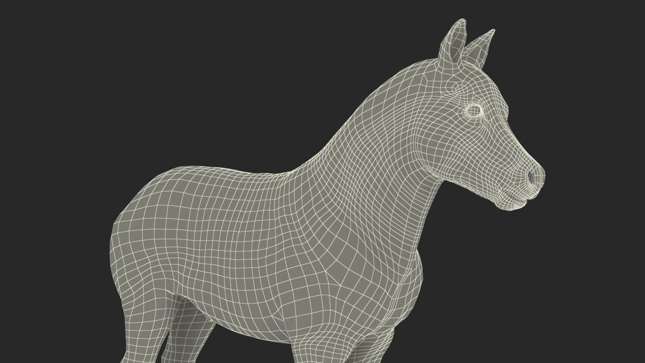 Realistic Shetland Pony Rigged for Maya 3D model