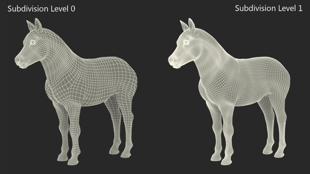 Realistic Shetland Pony Rigged for Maya 3D model