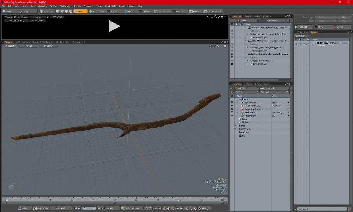 Fallen Dry Branch 3D