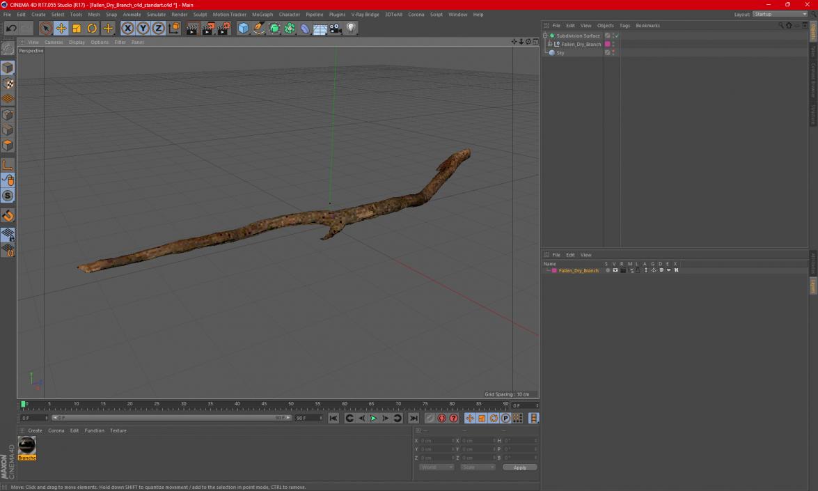 Fallen Dry Branch 3D