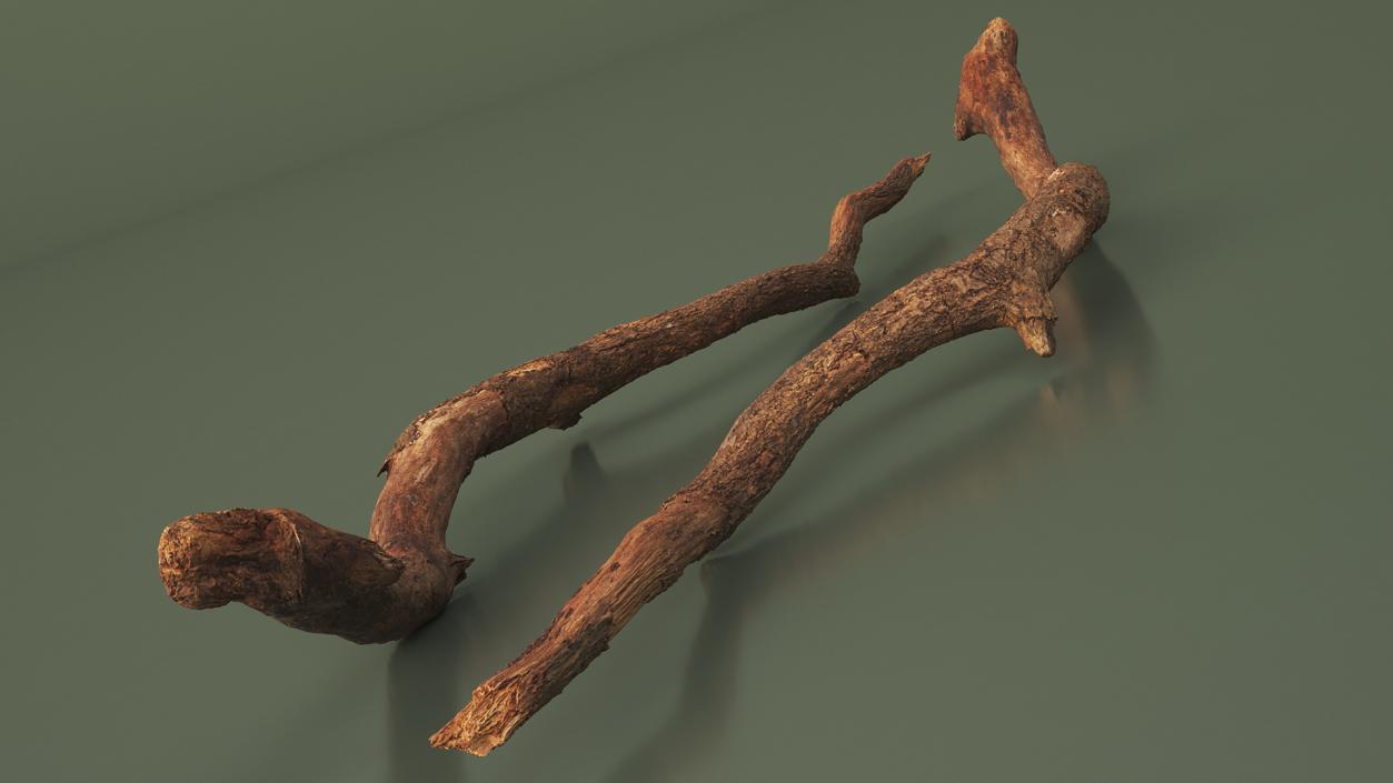 Fallen Dry Branch 3D