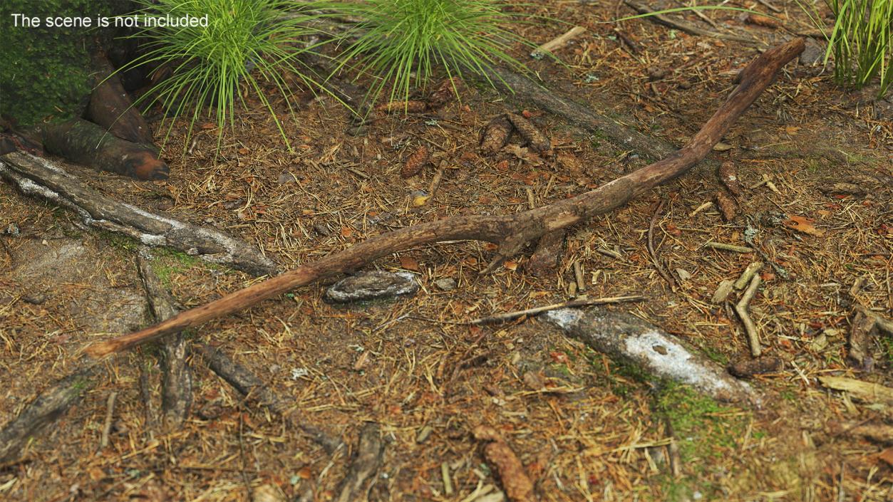 Fallen Dry Branch 3D