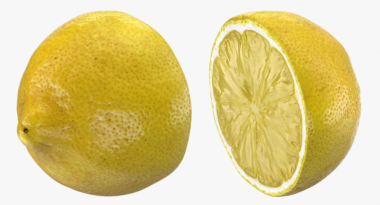 3D model Lemon Half