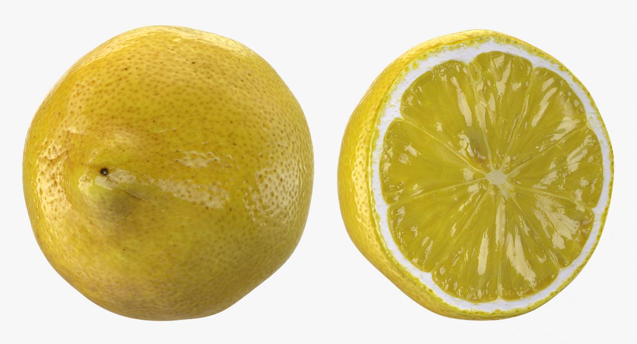 3D model Lemon Half