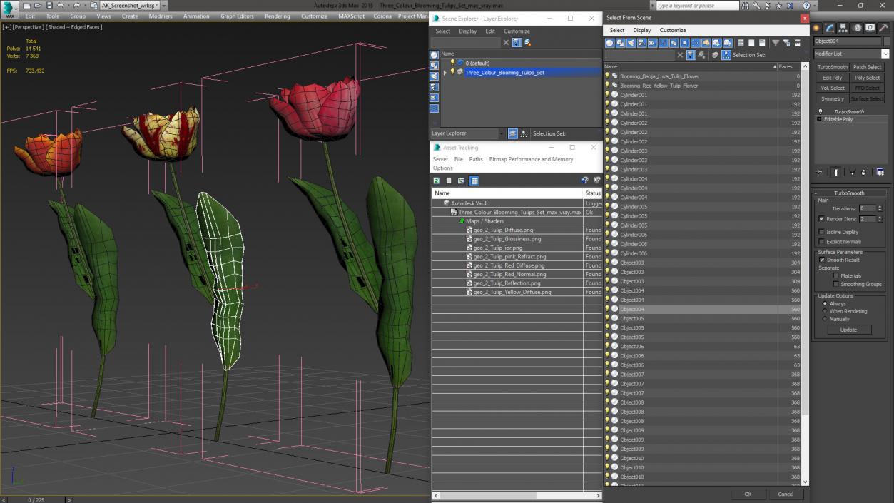 Three Colour Blooming Tulips Set 3D