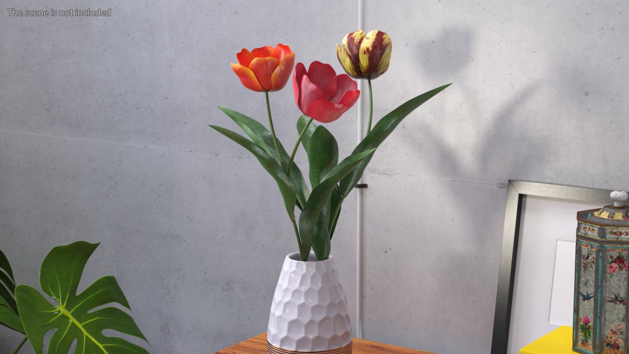 Three Colour Blooming Tulips Set 3D