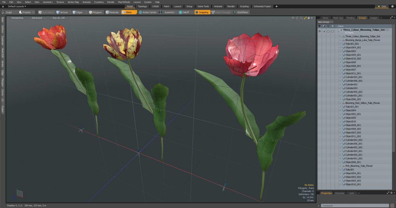 Three Colour Blooming Tulips Set 3D