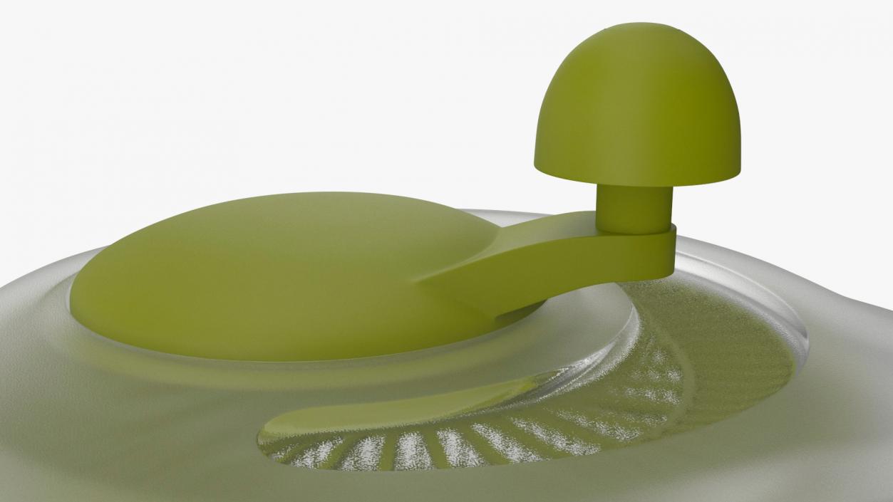 Plastic Salad Spinner Green 3D