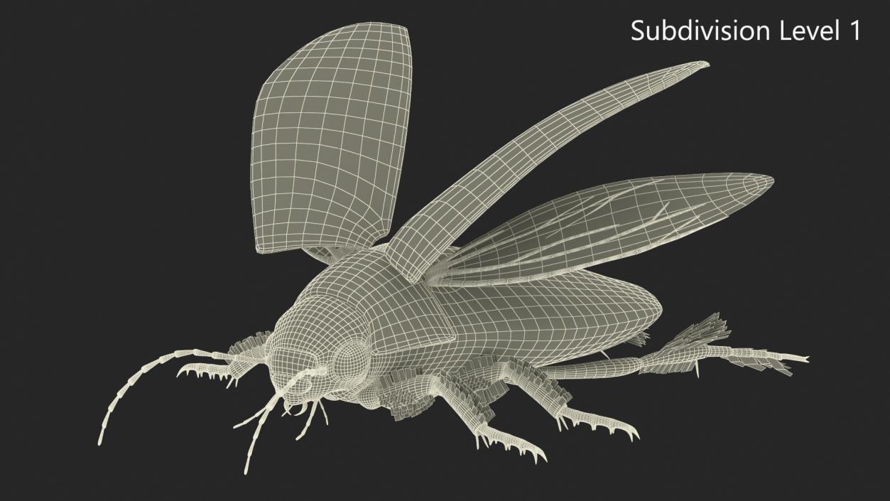 3D Screech Beetle Black Rigged for Maya