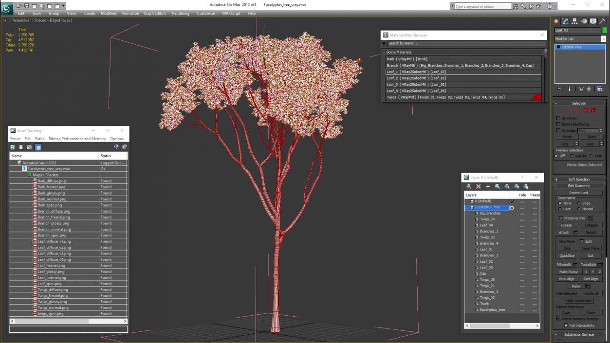 3D model Eucalyptus Tree