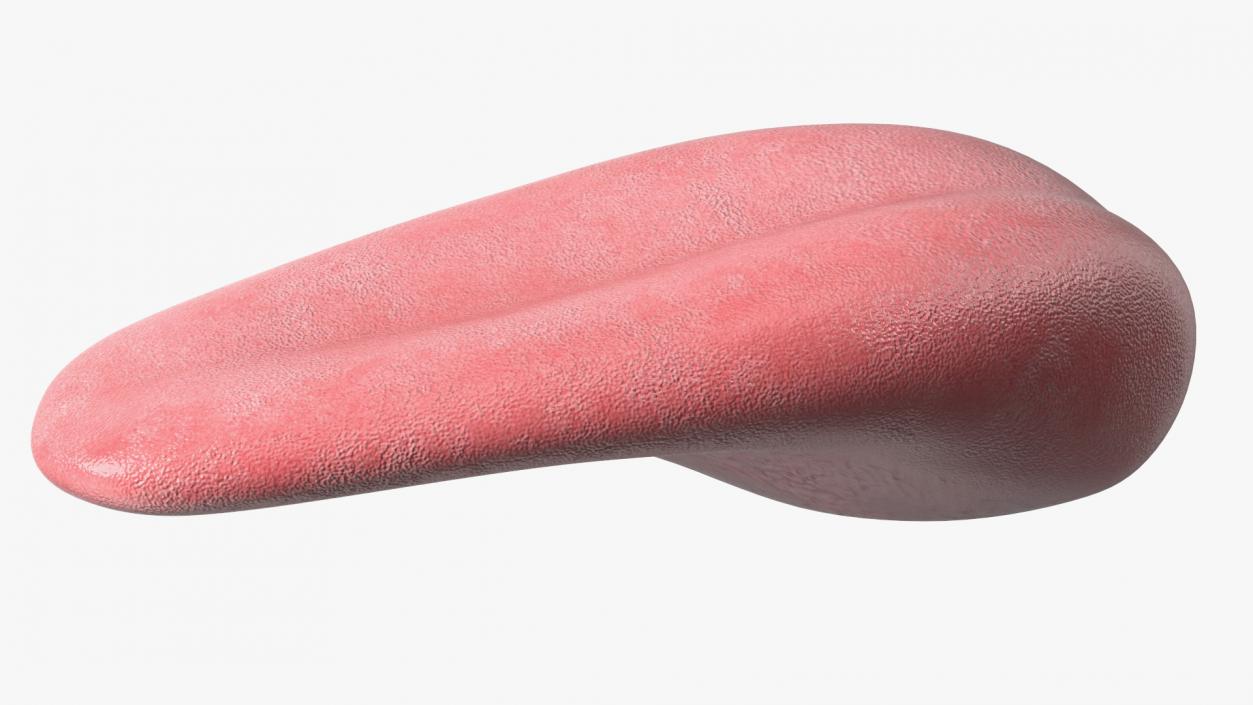 Human Tongue Rigged 3D model