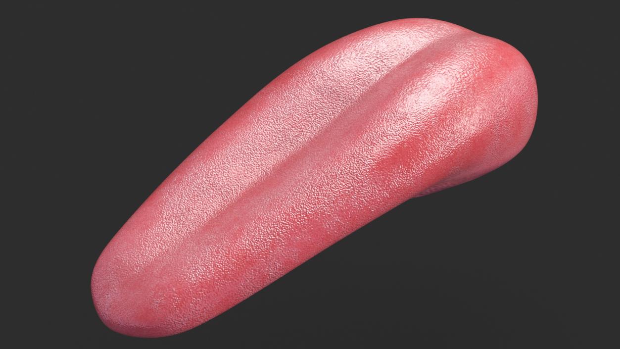 Human Tongue Rigged 3D model