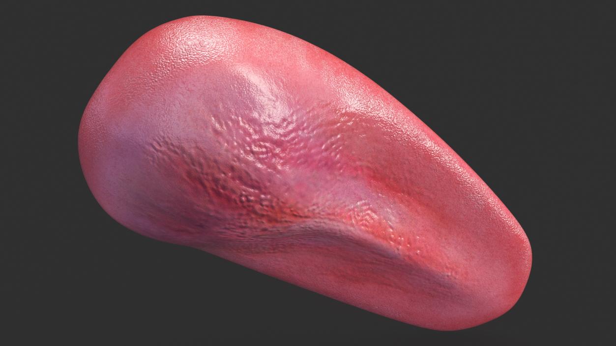 Human Tongue Rigged 3D model