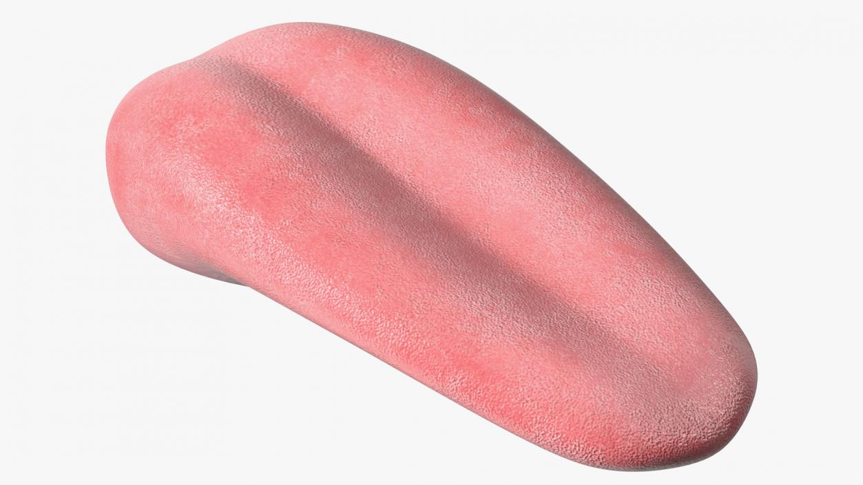 Human Tongue Rigged 3D model