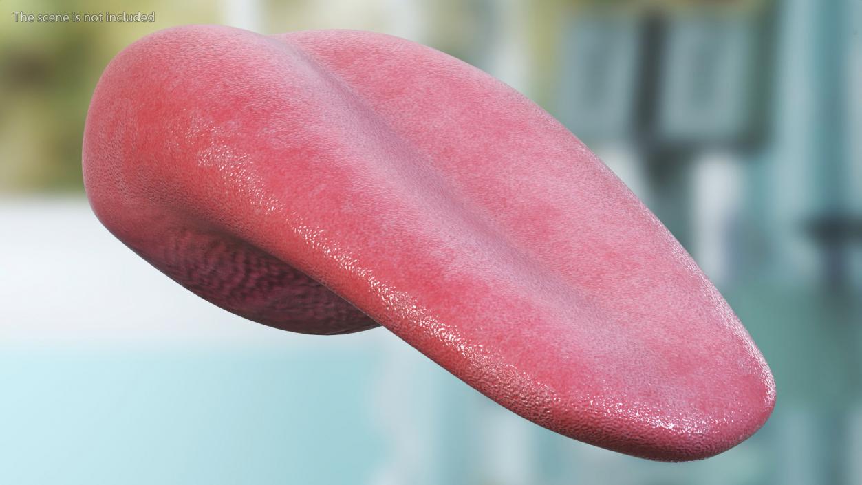 Human Tongue Rigged 3D model